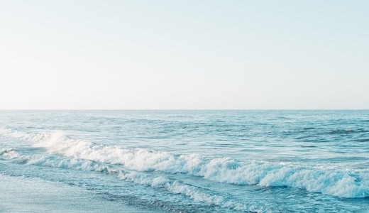 敬語の断り方の例文一覧